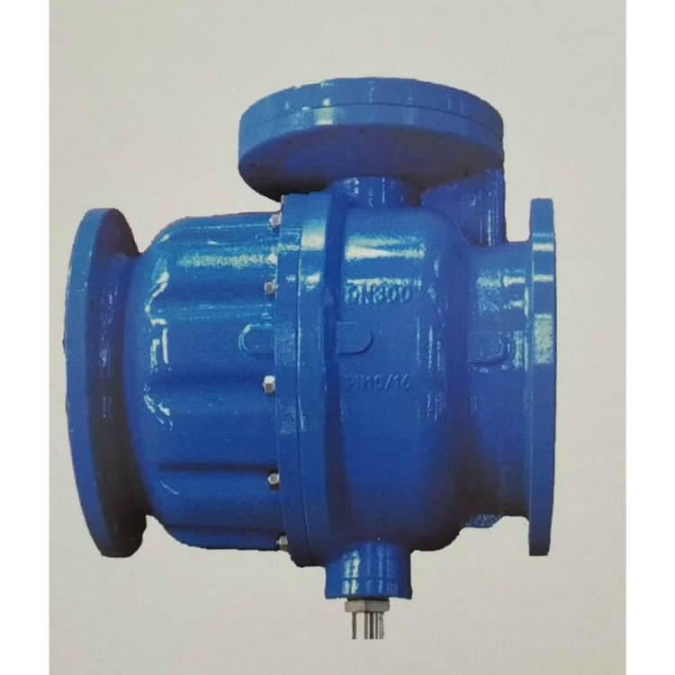 ������������ֹ��
